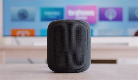 cuál es el mejor alexa.